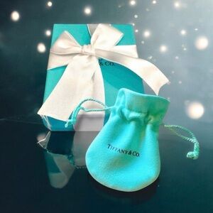 🆕💕TIFFANY & CO. Gift Box + Soft Pouch + White Ribbon • NWOT